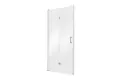 Exo-H Chrome Shower Door 100x190